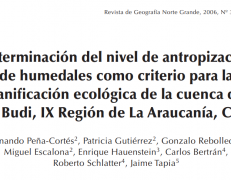 Determinación del nivel de antropización de humedales como criterio para la planificación ecológica de la cuenca del lago Budi, IX Región de La Araucanía, Chile.