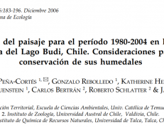 Dinámica del paisaje para el periódo 1980-2004 en la cuenca costera del Lago Budi, Chile. Consideraciones para la conservación de sus humedales.