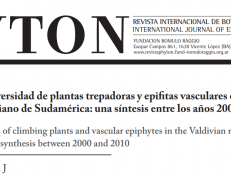 Patrones de diversidad de plantas trepadoras y epifitas vasculares en el bosque lluvioso Valdiviano de Sudamérica: una síntesis entre los años 2000 y 2010 .