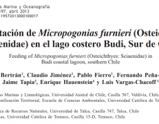 Alimentación de Micropogonias furnieri (Osteichthyes: Sciaenidae) en el lago costero Budi, Sur de Chile.