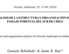 Análisis de la estructura y organización de un paisaje forestal del sur de Chile.