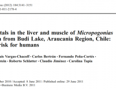 Heavy metals in the liver and muscle of Micropogonias manni fish from Budi Lake, Araucania Region, Chile: potential risk for humans.