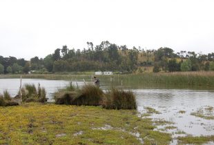 Estudio prefactibilidad construcción obras de mejora desembocadura Lago Budi comuna de Saavedra, Región de La Araucanía.
