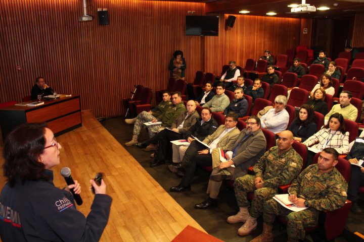 Constituyen Comité Regional de Protección Civil en La Araucanía