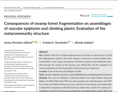 Consequences of Swamp Forest Fragmentation on Assemblages of Vascular Epiphytes and Climbing Plants: Evaluation of the Metacommunity Structure